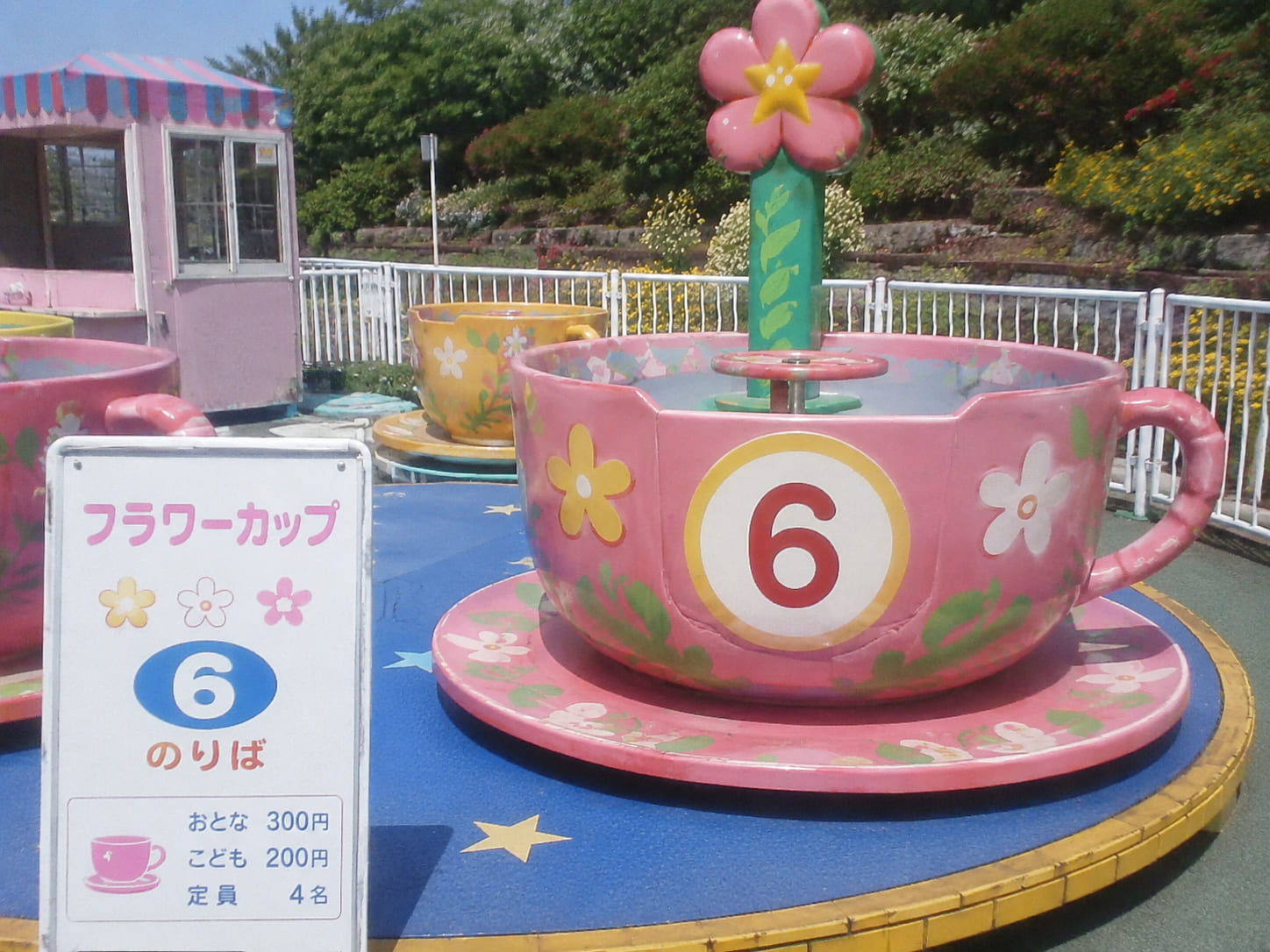 フラワーカップの写真